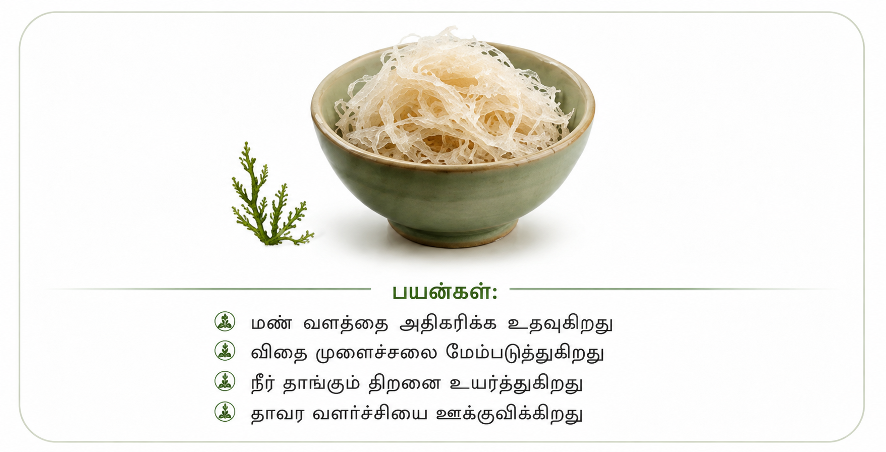chatgpt-image-aug-20-2026-11-51-04-am.png