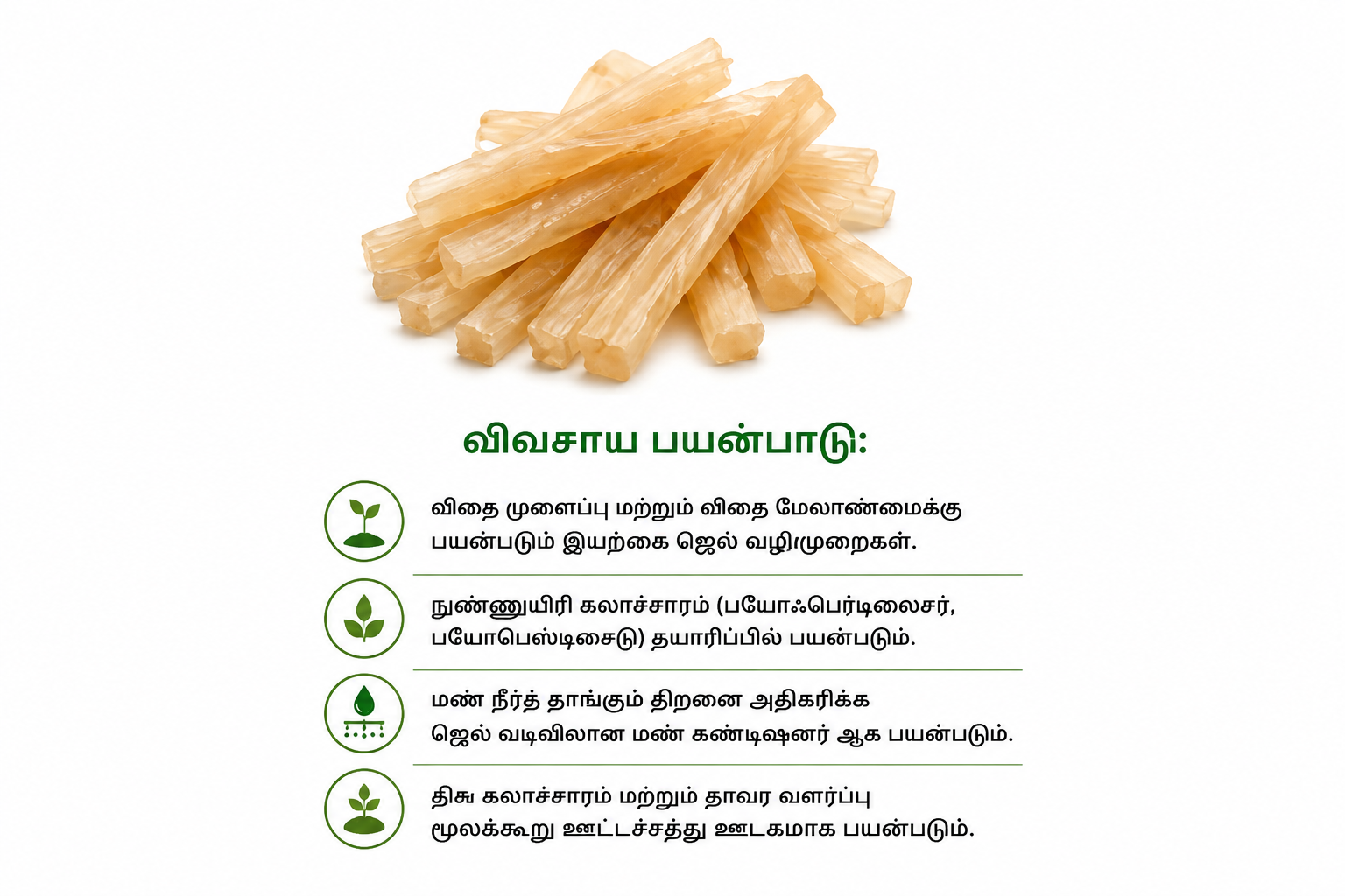 chatgpt-image-aug-20-2026-11-58-49-am.png