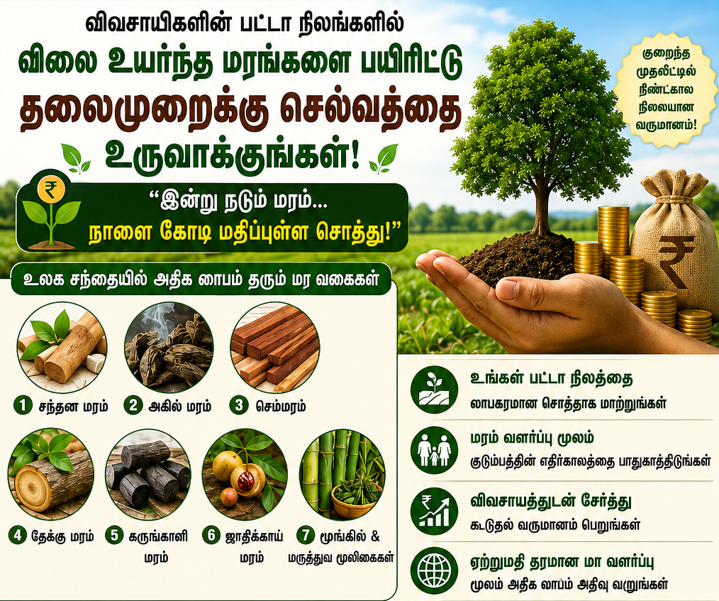 chatgpt-image-jul-15-2026-10-34-31-am-2.png