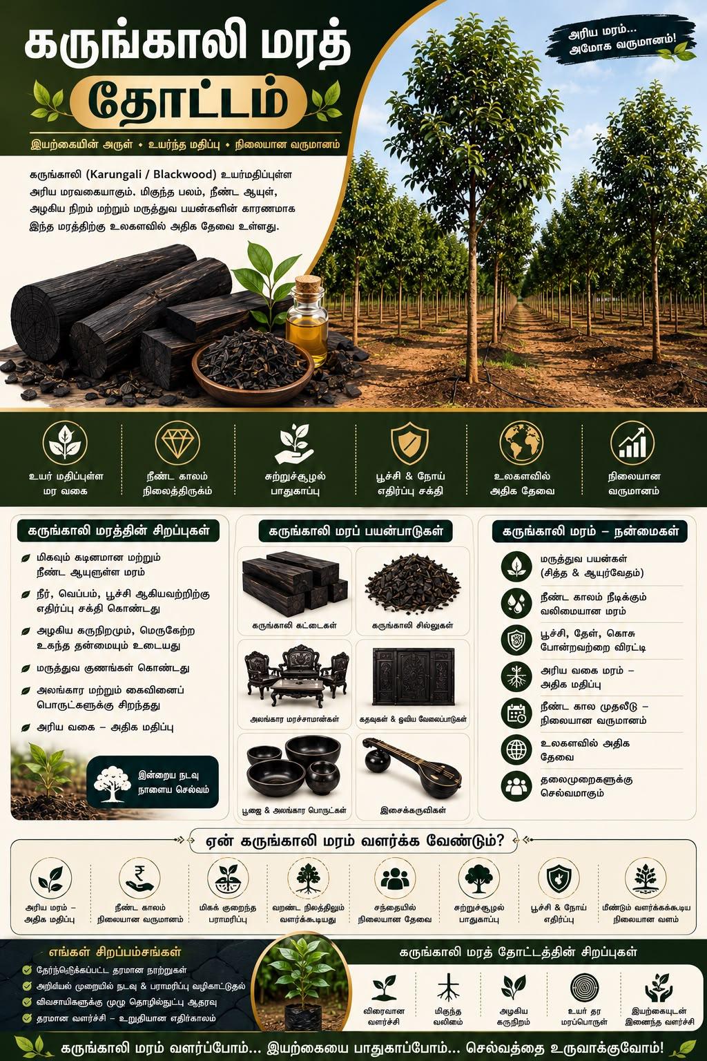 whatsapp-image-2026-07-16-at-125439.jpeg